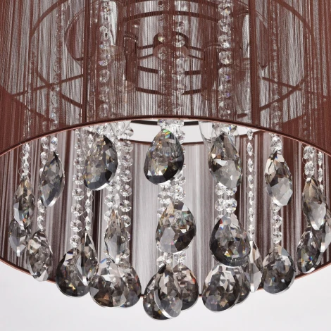 Потолочная люстра MW-Light Жаклин 465014506