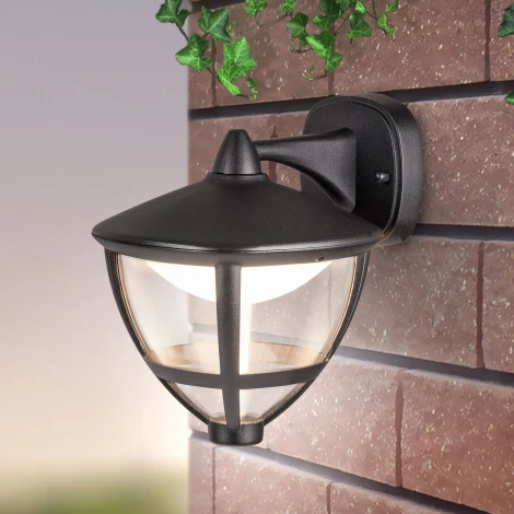 Настенный уличный 3001D Elektrostandard Gala GL LED a043196