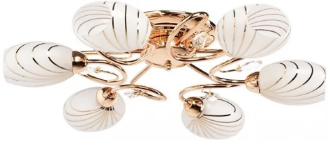 Потолочная люстра MW-Light Фиеста 267012106