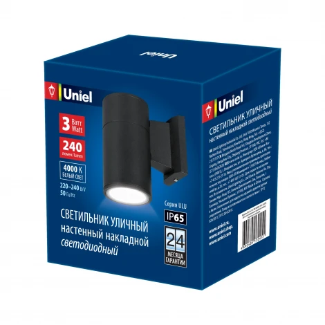 Архитектурная подсветка Uniel ULU-S21A-3W/4000K IP65 BLACK (LED, 220V)