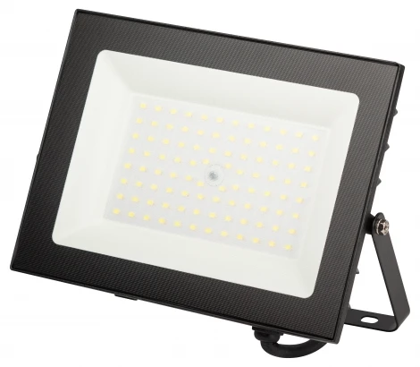 Прожектор уличный светодиодный ЭРА LPR-06 LPR-062-0-65K-070