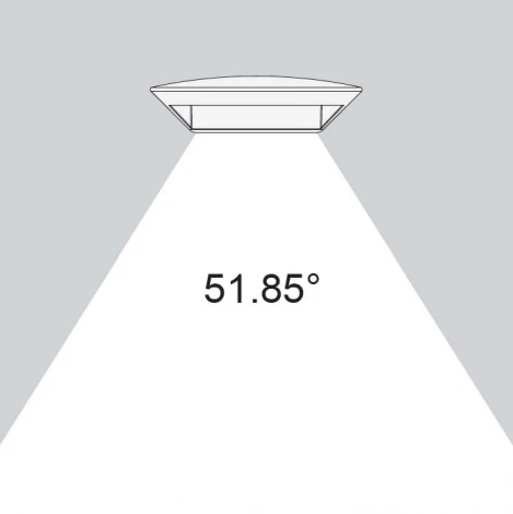 Настенный светильник уличный Oasis Light W1880S S