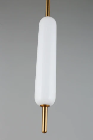 Подвесной светильник Aployt Carla APL.010.06.08 (LED, 220V, на проводе, круглые)