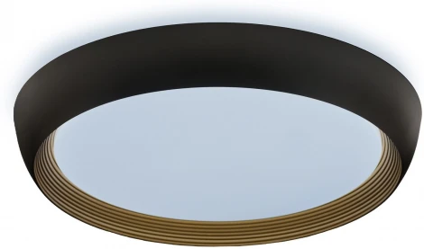 Потолочный светильник Lumina Deco Paneli LDC 8062-48W BK