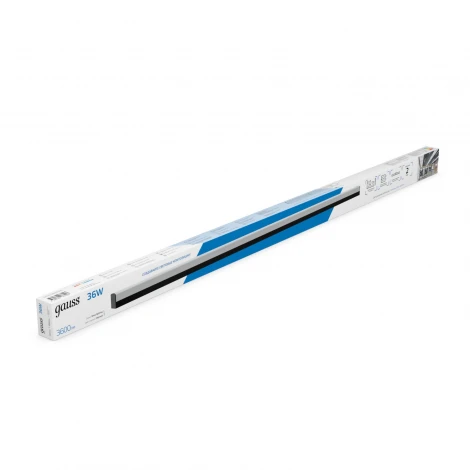 Настенно-потолочный светильник светодиодный Gauss 883625336