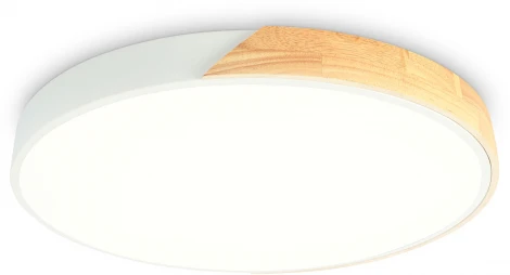 Потолочный светильник круглый светодиодный ORBITAL FZ1300 (220V, круглые)