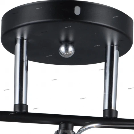 Потолочная люстра J-Light Oli 1079/3C