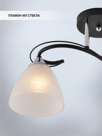 Потолочная люстра на штанге Seven Fires Nuala SF3372/2C-BK-CR-WT