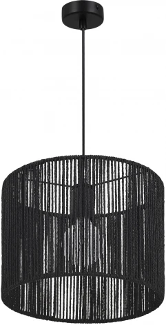 Подвесной светильник Evoluce Ettan SLE6024-403-01 черный/черный E27 1*40W (220V, на проводе, круглые)