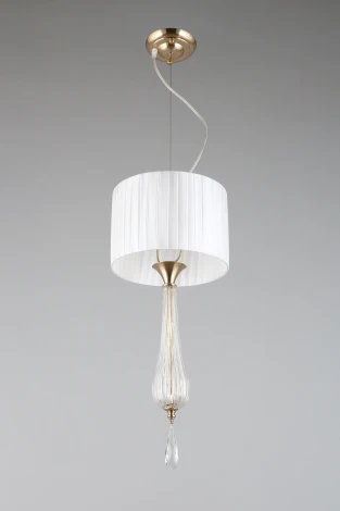 Подвесной светильник Aployt Kinia APL.708.16.01 (220V, на тросе, круглые)