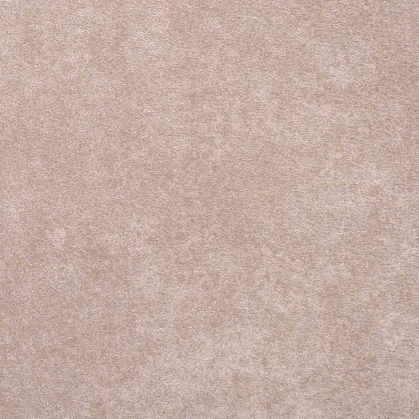 Стул DikLine 440 TW05 капучино, ножки черные арт.00-00079927