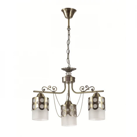 Подвесная люстра Lumion Boninga 3235/3