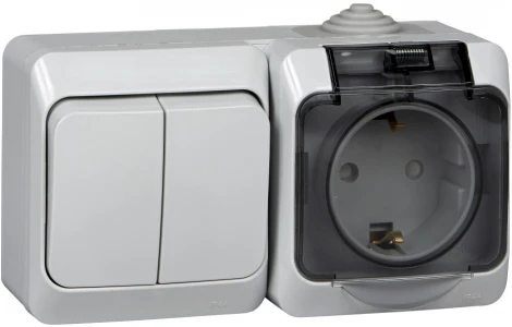 Розетка накладная с заземлением и крышкой с двухклавишным выключателем (серый) Systeme Electric Etude BPA16-242C