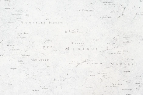 Обои виниловые Артекс Nature Inspiration 10230-05 10,05 x 1,06 м