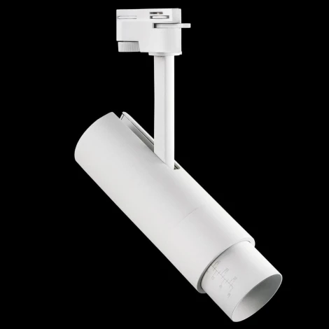 Трековый светильник Lightstar Fuoco 215246 (LED, 220V)