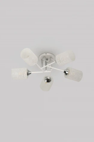 Потолочная люстра на штанге Rivoli Federica 9178-305