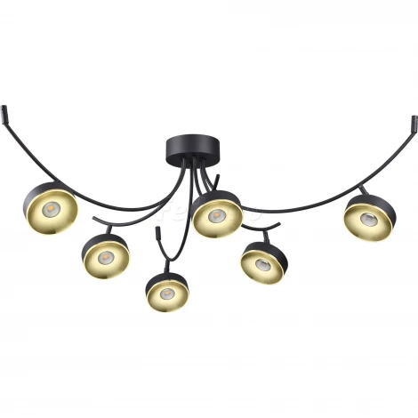 Потолочная люстра Odeon Light Fineca 3812/42CL