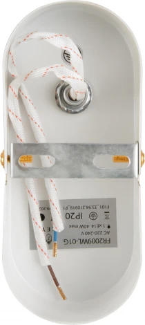 Бра Freya Zoe FR2009WL-01G (220V, подвески, свеча)