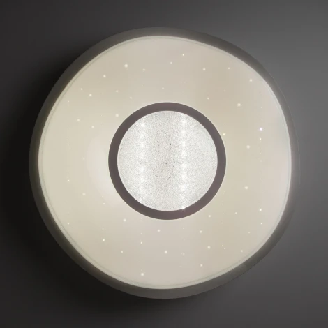 Потолочный светильник Elektrostandard Shine 40011/1 LED