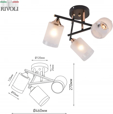 Потолочная люстра на штанге Rivoli Fiona 3163-303 (220V)