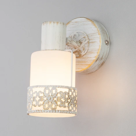 Спот Eurosvet 20025-20026 20025/1 белый с золотом (220V, круглые)