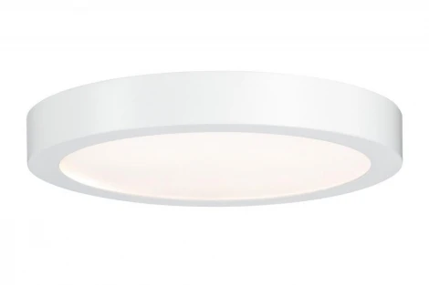 Настенно-потолочный светильник Paulmann Lunar 70643