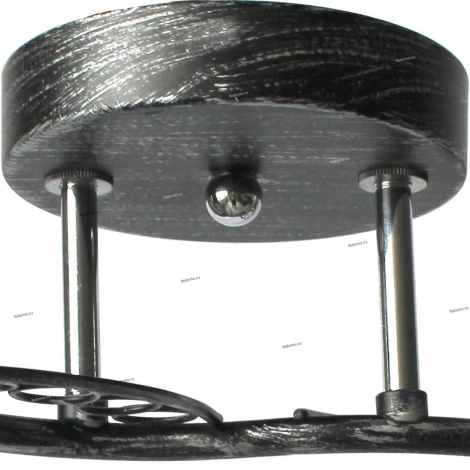 Потолочная люстра Toplight Isabella TL7450X-02BP