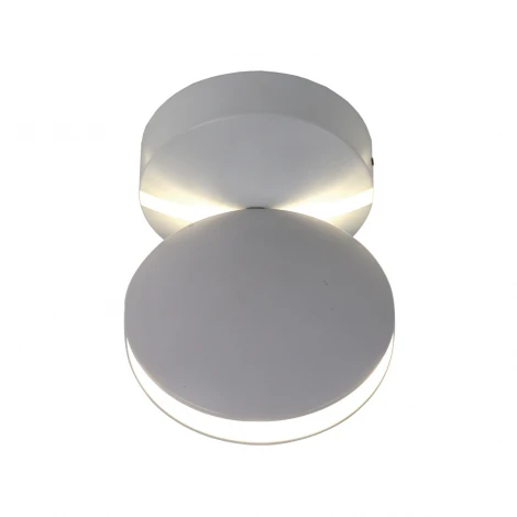 Архитектурная подсветка Favourite Collare 2000-1W