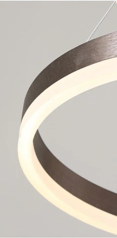 Кольцевой подвесной светильник Cruise One Lux D80 ImperiumLoft Cruise-One-Lux01 (204622-23) (LED, 220V, на тросе, кольцо)