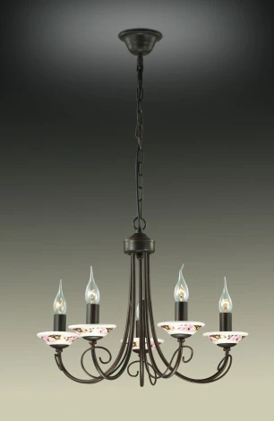 Подвесная люстра Odeon Light Riva 2529/5