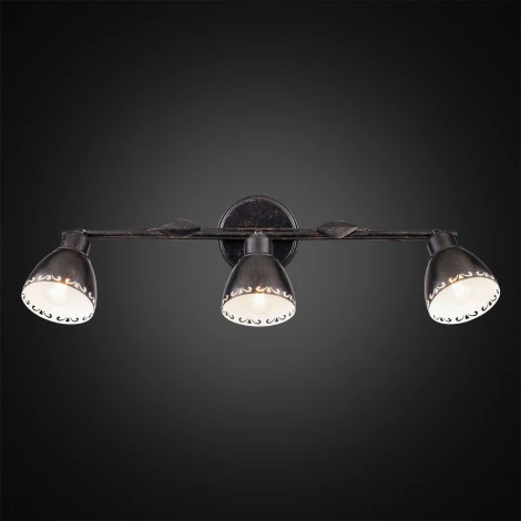 Спот Citilux Робуста CL509532
