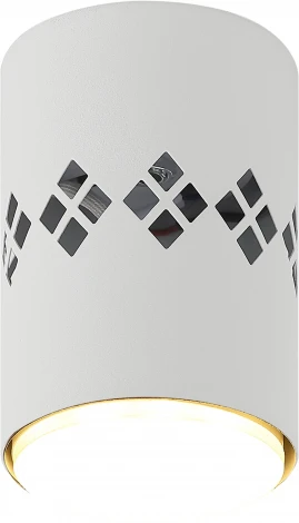 Точечный светильник ЭРА OL10 LD GX53 WH (220V)