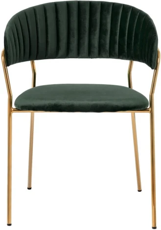 Комплект из 4-х стульев Turin зеленый с золотыми ножками Bradexhome арт.FR 0558K
