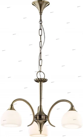 Подвесная люстра Odeon Light Adriana 1601/3