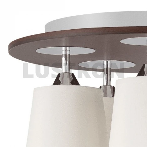 Потолочный светильник MW-Light Николь 364010805