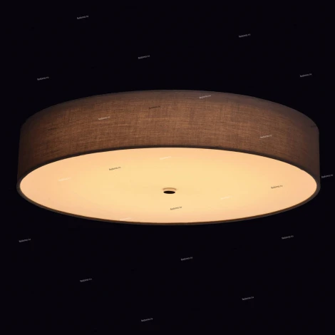 Потолочный светильник MW-Light Дафна 453011601