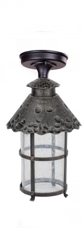 Потолочный светильник уличный Oasis Light CAIOR 1 81505A R (220V, фонарь, IP44)