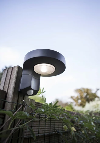 Настенный светильник уличный Oasis Light P9067-PIR