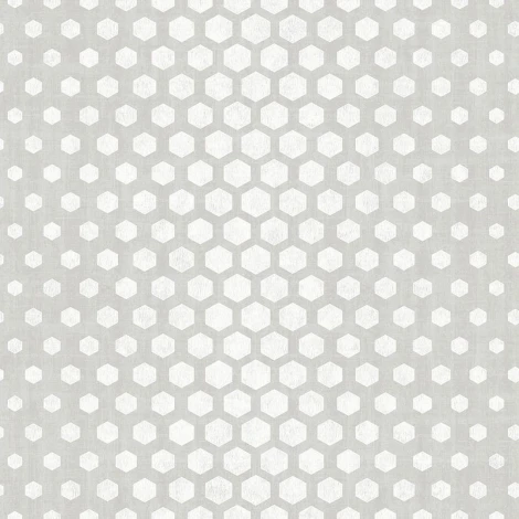 Обои флизелиновые SK Filson Sovereign DE41816 10,05 x 0,53 м