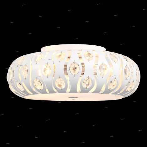 Потолочный светильник ST Luce Calma SL793.502.05