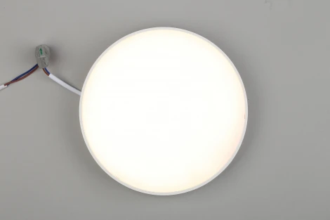 Потолочный светильник круглый Aployt Evon APL.0113.09.24 (LED, 220V, круглые)