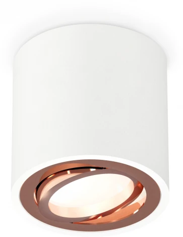 Накладной точечный светильник Ambrella Techno Spot XS7531005 (220V, круглые)