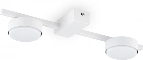 Потолочная люстра Freya Tactic FR5363CL-02W (220V)