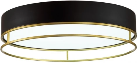Потолочный светильник круглый Sonex Lofty 7723/100L металл/пластик/белый/черный/золотой LED 100Вт 3000-6000K D600 IP20 пульт ДУ (220V, круглые)