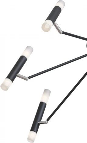 Потолочная люстра Maytoni Vigo MOD620CL-16B (220V)