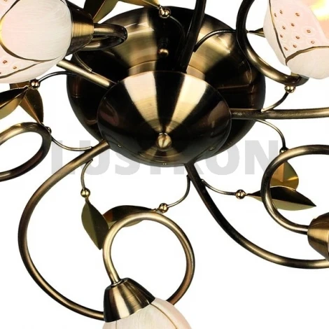 Потолочная люстра Omnilux Vallage OML-37907-05