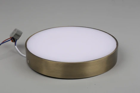 Потолочный светильник круглый Aployt Evon APL.0113.29.24 (LED, 220V, круглые)