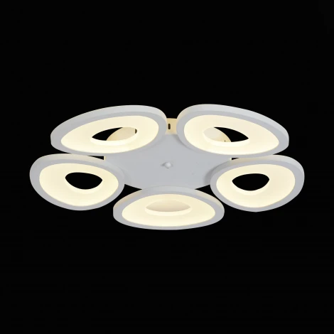Потолочная люстра ST Luce Rista SL929.502.05