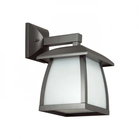 Настенный фонарь уличный Odeon Light Tako 4049/1W