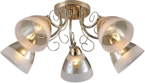 Потолочная люстра Ritter Modena 52546 2